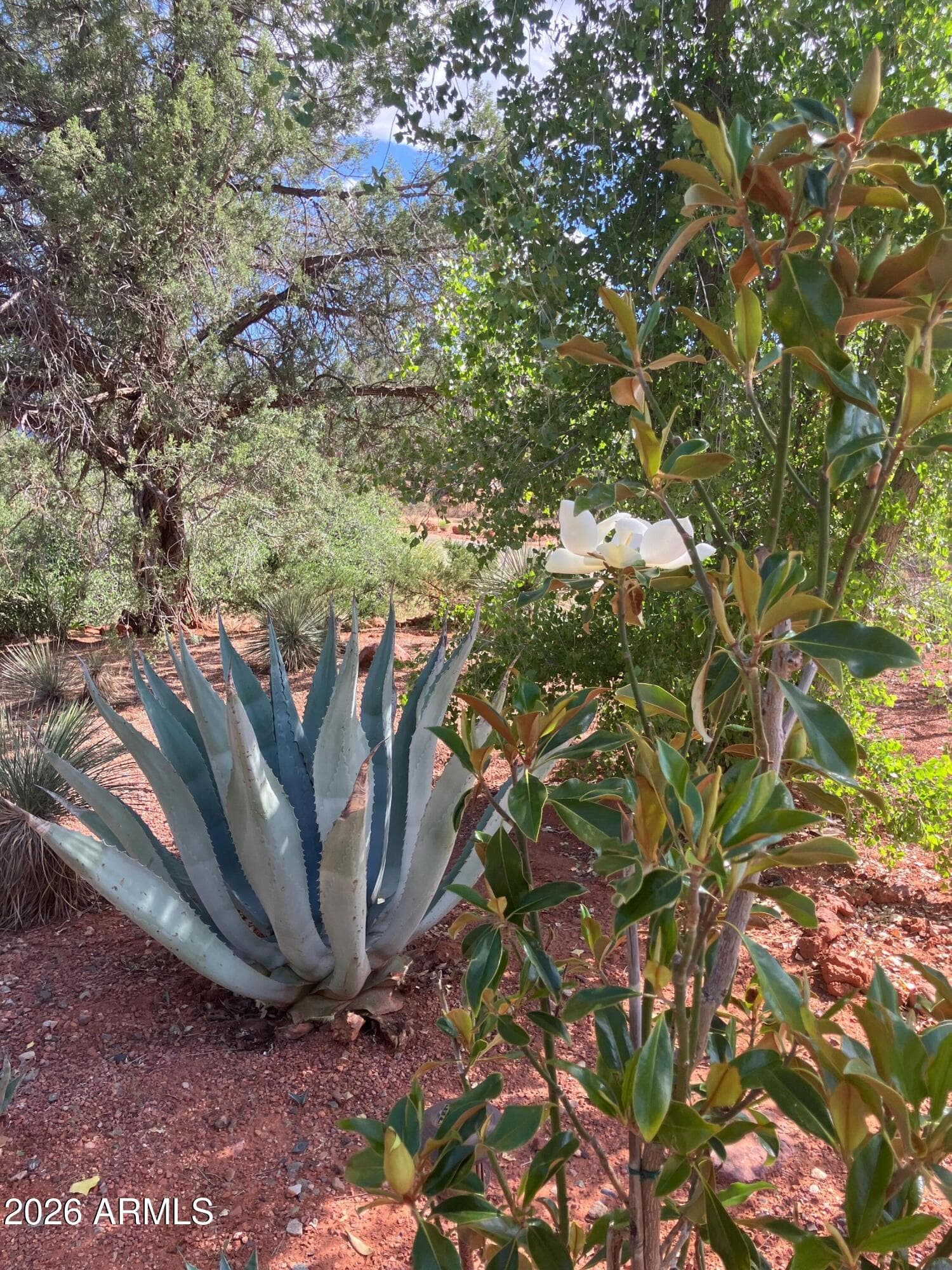 2030 Red Rock Loop Road, Sedona, AZ 86336 — photo 13 of 50